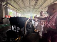 Go-Pujana at Kembre Farm Goshala (Pictures courtesy Shri Jnanesh Bhat Hattangadi)